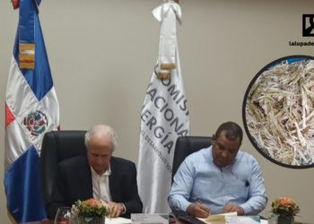 El bagazo tiene «mal renombre», pero adquiere valor en el CAC que producirá energía