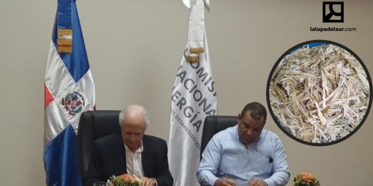 El bagazo tiene «mal renombre», pero adquiere valor en el CAC que producirá energía