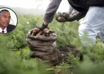 Evangélicos piden al gobierno «garantizar» seguridad alimentaria