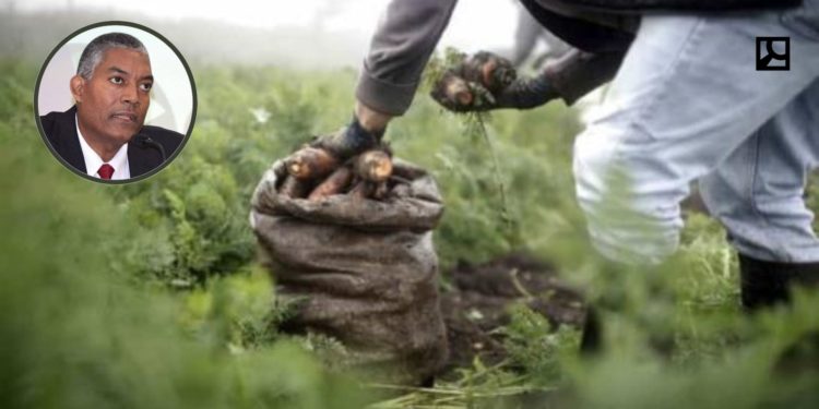 Evangélicos piden al gobierno «garantizar» seguridad alimentaria