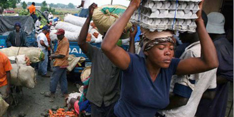 RD vende el 87% de los huevos que consume Haití