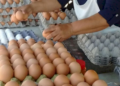 Gobierno prohíbe exportar huevos a terceros países