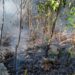 Identifican responsables de incendios en Barahona