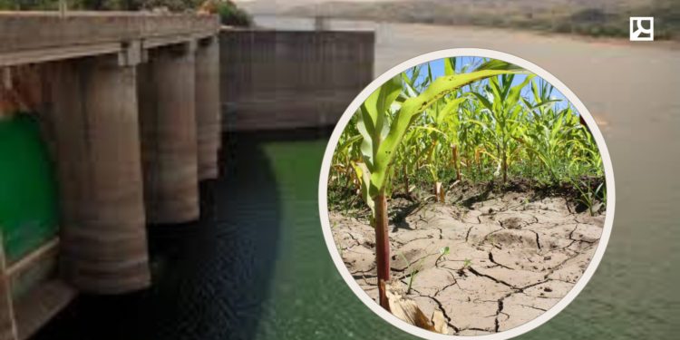 Es cada vez más «chin» el agua