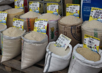 RD discutirá estrategia frente a EEUU sobre exportación de arroz