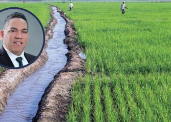 Gobierno «desampara» arroceros