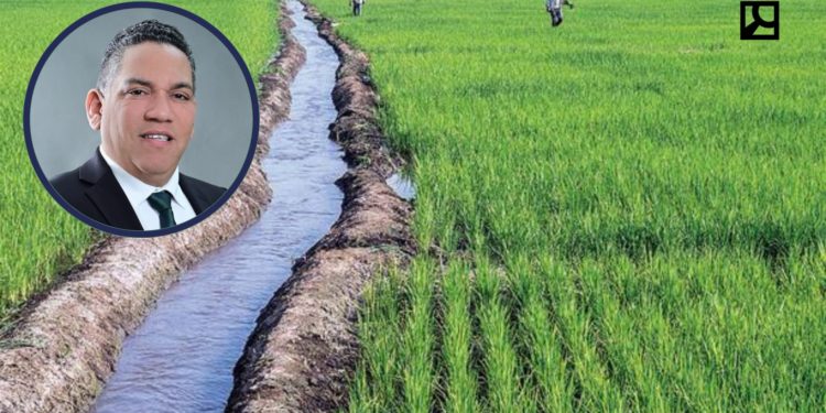 Gobierno «desampara» arroceros