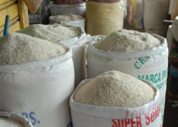 República Dominicana «no exportará» arroz