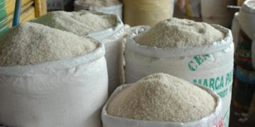 República Dominicana «no exportará» arroz