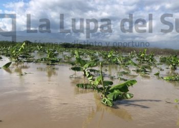 Agricultura evalúa daños de lluvias en el Sur