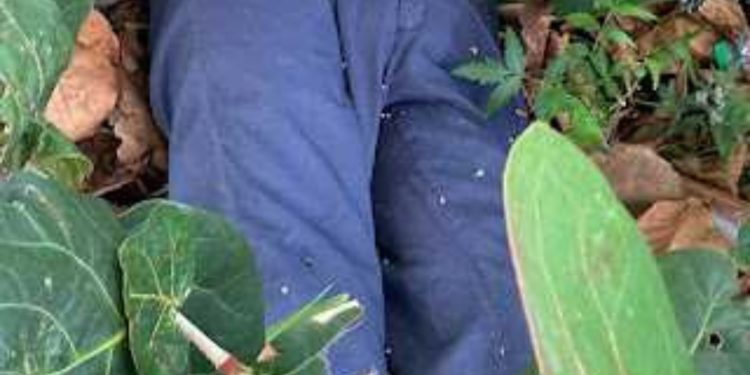 Envían a Inacif cadáver de hombre encontrado en Barahona