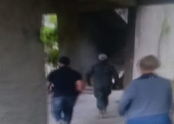 Migración va de «caza, pero no logra presas»