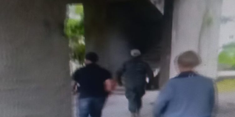 Migración va de «caza, pero no logra presas»