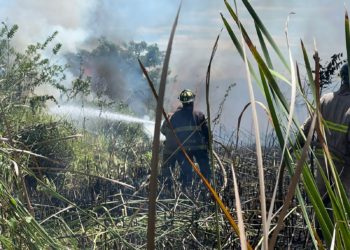 Medio Ambiente controla incendio en lagunas