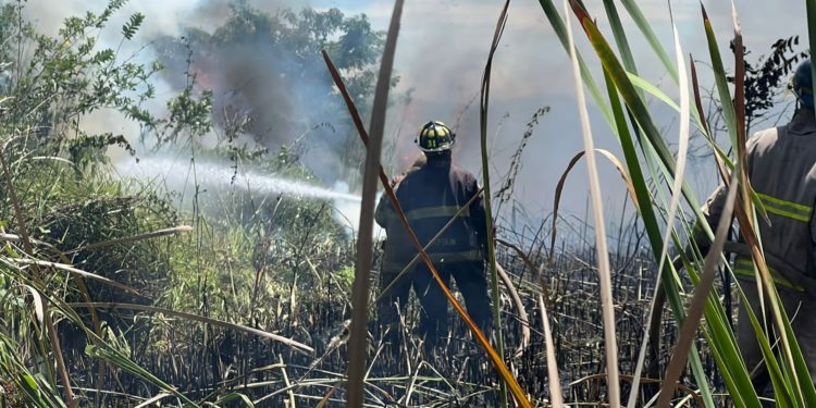 Medio Ambiente controla incendio en lagunas