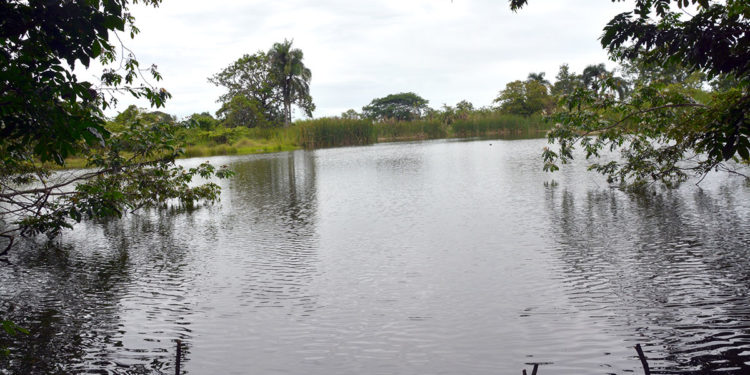 Invaden humedales para construir letrinas, casas y pozos sanitarios