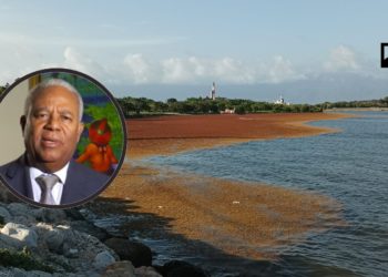 El sargazo constituye la principal amenaza para la economía de RD: ¿Qué hace el gobierno?