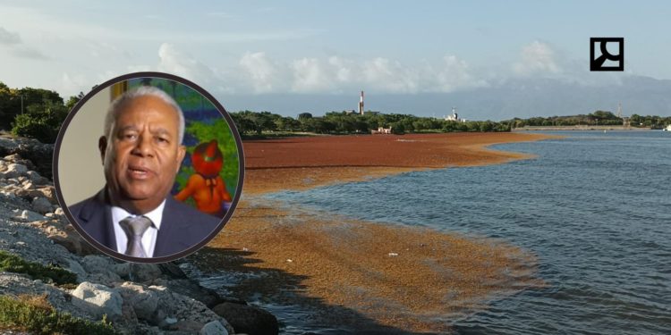 El sargazo constituye la principal amenaza para la economía de RD: ¿Qué hace el gobierno?