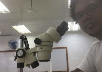 El Dengue: ¿Quién lo provoca? ¿Cómo prevenirlo?