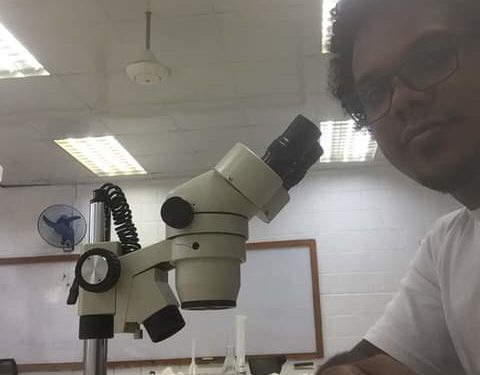 El Dengue: ¿Quién lo provoca? ¿Cómo prevenirlo?