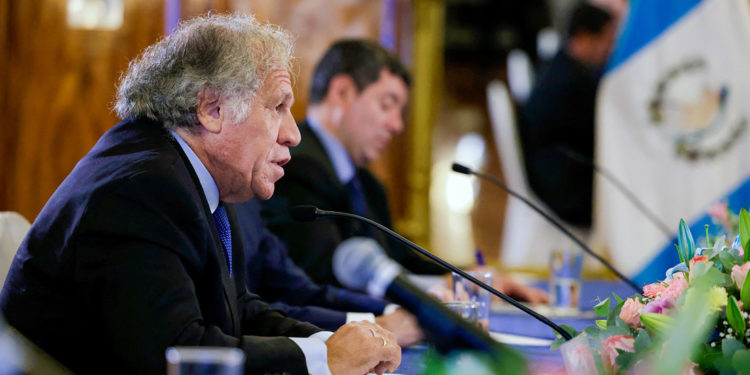 OEA: Si Arévalo no asume como presidente de Guatemala será un fracaso para la democracia