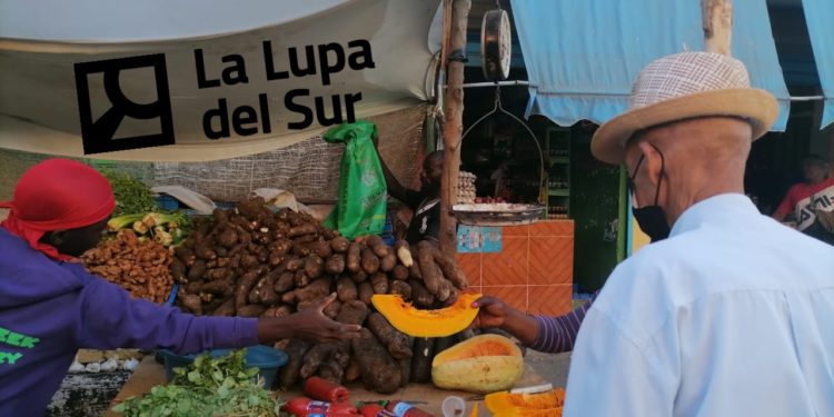 Presidente Fenacodep exige a Abinader enfrentar falta de Azúcar y precios altos