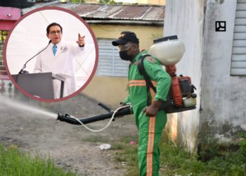 ¿Cuántos muertos ha provocado el dengue?