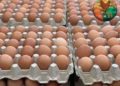 Se «pudren» huevos por cierre de frontera con Haití
