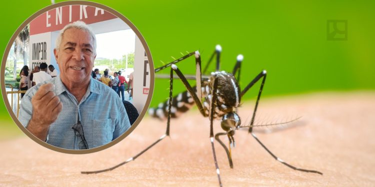 ¿Cómo evitar el dengue?
