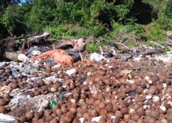 Cuantiosas pérdidas tuenen comerciantes en Pedernales