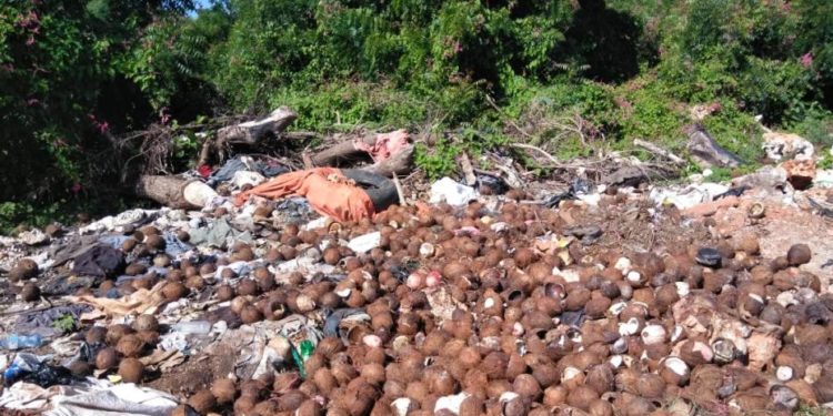 Cuantiosas pérdidas tuenen comerciantes en Pedernales