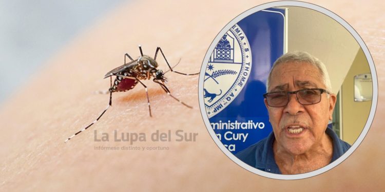 Fumigación «no garantiza objetivo» contra el dengue