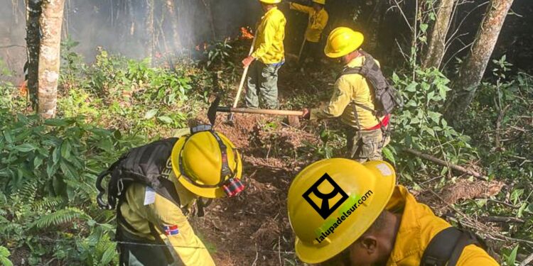 Combaten 55 incendios forestales en Semana Santa