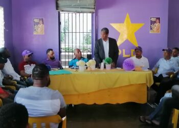 Pedro Peña Rubio explica a dirigencia PLD candidatura a diputado