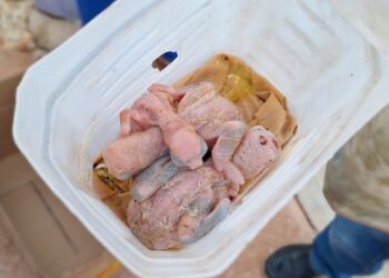 Coerción a pareja por traficar cotorras en Pedernales