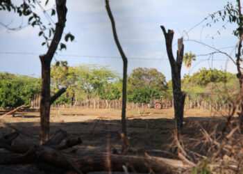 Gobierno «no hace ná» por Las Dunas