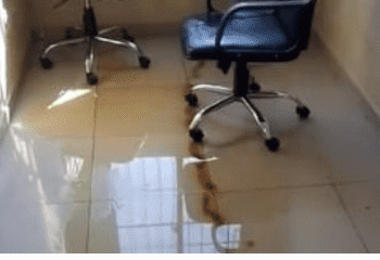 Denuncian deterioro Unap de El Peñón