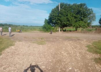 Paralizada construcción de carretera