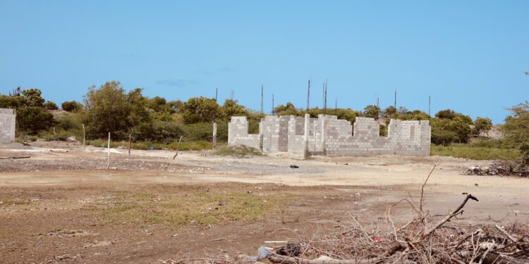 ¡Por fin! recuperan Dunas