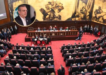 Abinader propondría reducir hasta 53 diputaciones