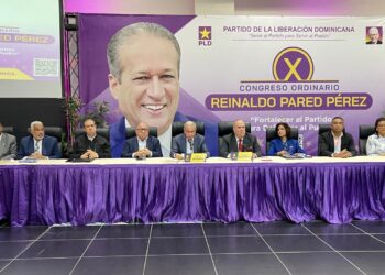 Es «riesgosa» reforma de Abinader para PLD