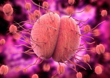 Expertos alertan que la gonorrea podría convertirse en incurable