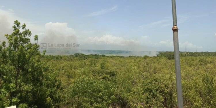 Incendio consume extensa área de laguna de Cabral