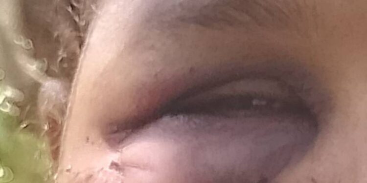 «Tigre» tenía orden de alejamiento de Mecho y casi la mata