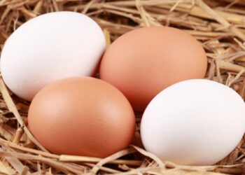 ¿Cuántos huevos puedes comer a la semana? La OMS lo revela