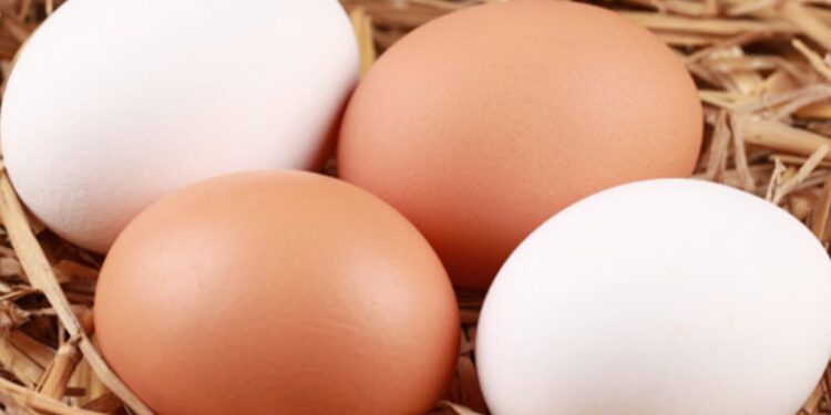 ¿Cuántos huevos puedes comer a la semana? La OMS lo revela