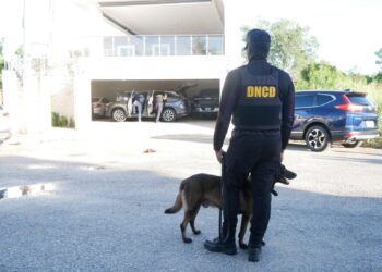 Incautan lote de cocaína a red desmantelada