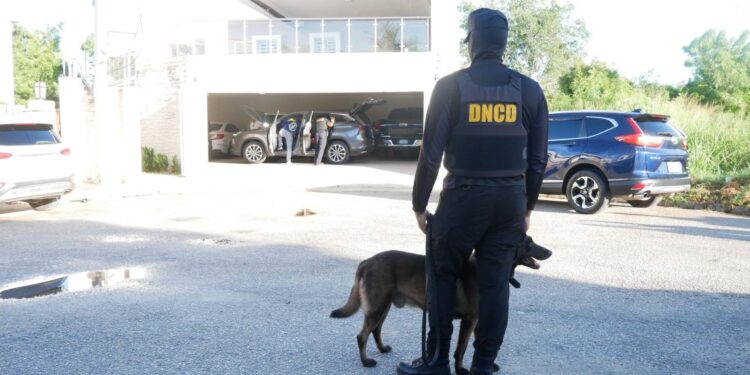 Incautan lote de cocaína a red desmantelada