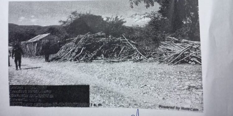 Procuraduría desarticula red «depredaba» Sierra Martin García