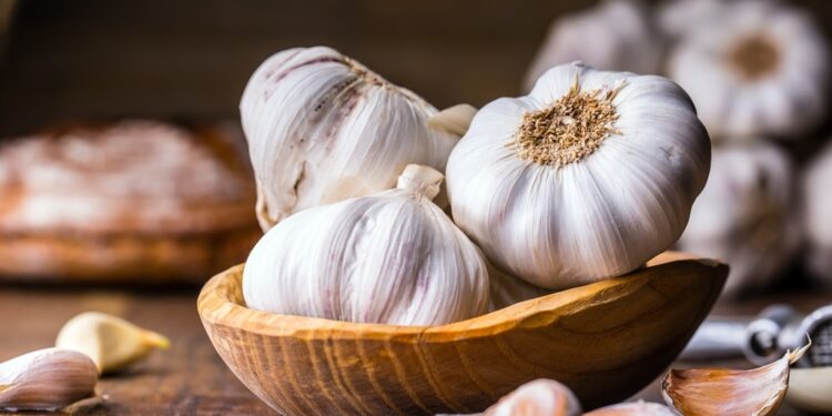 Productores de ajo en Constanza denuncian pérdidas en la producción